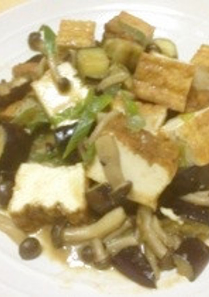 厚揚げとナスの味噌炒め-レシピのメイン写真