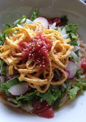 梅干の酸味が効いてる冷やしうどん-レシピのメイン写真