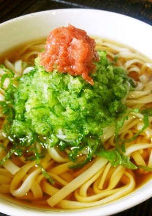 おろしキュウリぶっかけ冷やしうどん-レシピのメイン写真