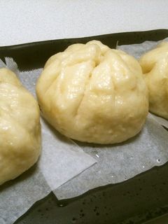 HBで♪皮はもっちり、具はヘルシー肉まん-レシピのメイン写真