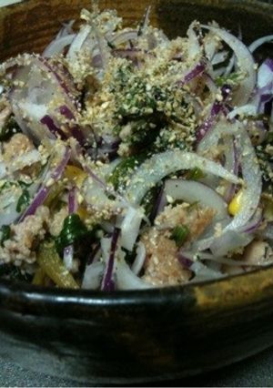 サッパリ～♪赤玉ねぎと豚挽肉のお菜-レシピのメイン写真