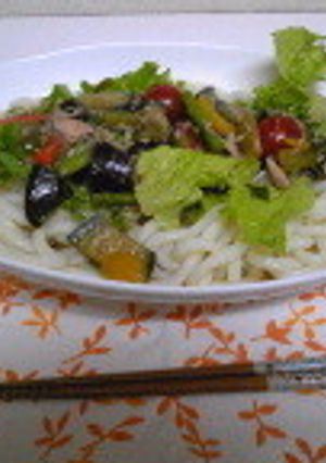 夏野菜冷たいうどん☆-レシピのメイン写真