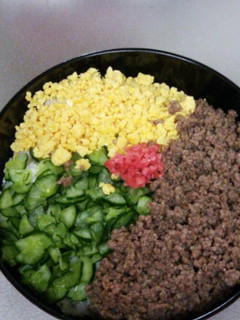 簡単そぼろ丼-レシピのメイン写真