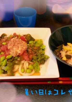 簡単すぎるサラダうどん-レシピのメイン写真