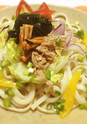 ピリ辛♪豆乳サラダうどん-レシピのメイン写真