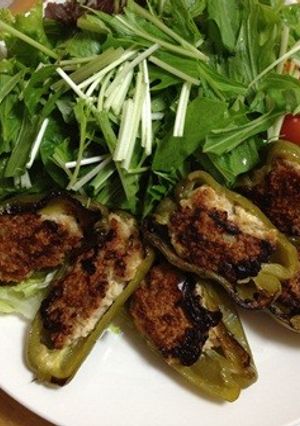 凍り豆腐のピーマンの肉詰め-レシピのメイン写真