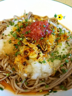 ニンニクとジャコの冷蕎麦-レシピのメイン写真