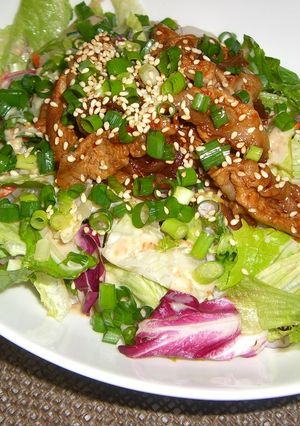 ☆ピリ辛豚肉のサラダうどん☆-レシピのメイン写真