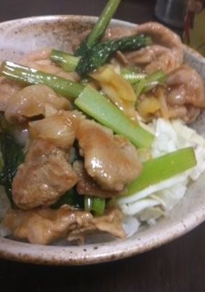 一人ご飯〜豚と小松菜〜-レシピのメイン写真