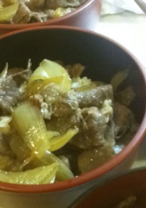 黄金比率で牛丼-レシピのメイン写真