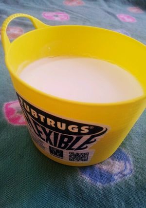 バケツ☆ココナッツミルクプリンの巻-レシピのメイン写真