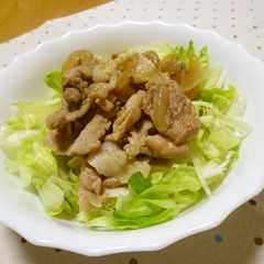 รูปของ すき家風 牛丼ライト (豚ですけどね~)
