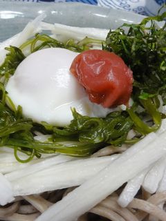 冷やし蕎麦~長いも&めかぶで♪-レシピのメイン写真