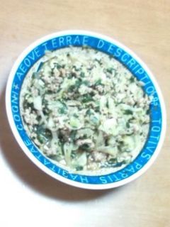 めっちゃ簡単☆餃子の具風炒め物-レシピのメイン写真