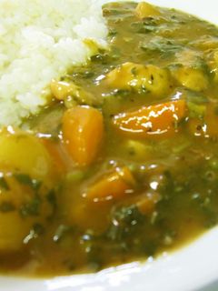 モロヘイヤ入り和風グリーンカレー-レシピのメイン写真