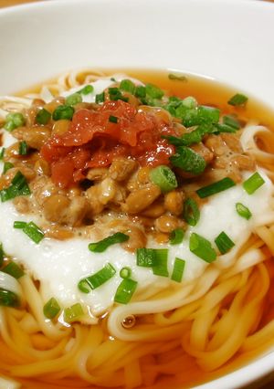 ☆ネバうどん☆-レシピのメイン写真