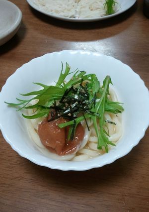 簡単☆冷やしうどん-レシピのメイン写真