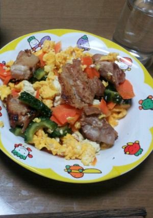 下ごしらえ塩麹のみ鶏肉ゴーヤチャンプルー-レシピのメイン写真