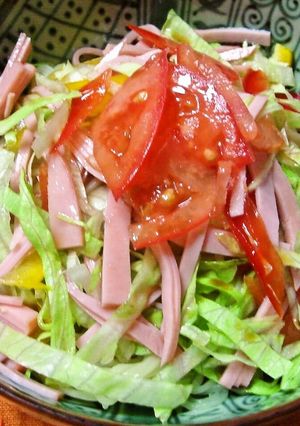 野菜たっぷり　サラダのような冷やし中華-レシピのメイン写真