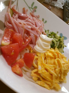 夏にサッパリ★冷やしうどん-レシピのメイン写真