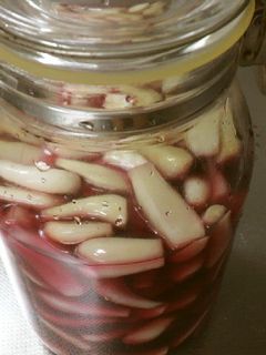 梅酢らっきょう-レシピのメイン写真