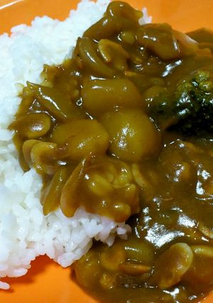 桜えびカレー-レシピのメイン写真