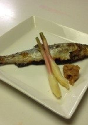 鮎の塩焼き-レシピのメイン写真