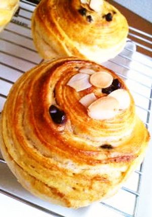 ☣きな粉とチョコの渦巻きパン☣-レシピのメイン写真