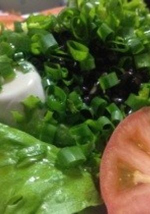 夏バテ★豆腐&納豆サラダ★ダイエット-レシピのメイン写真