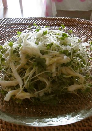 スプラウトと切り干し☆バジルサワー風味-レシピのメイン写真