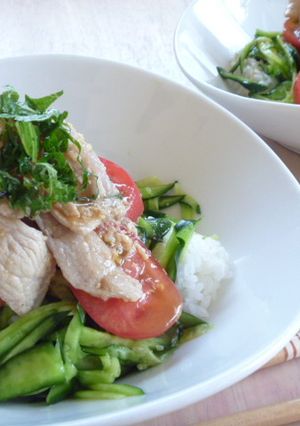 塩麹さっぱり野菜どんぶり-レシピのメイン写真