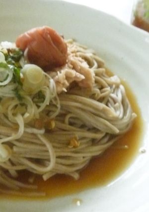 簡単♪さっぱりポン酢で冷やし蕎麦♪-レシピのメイン写真
