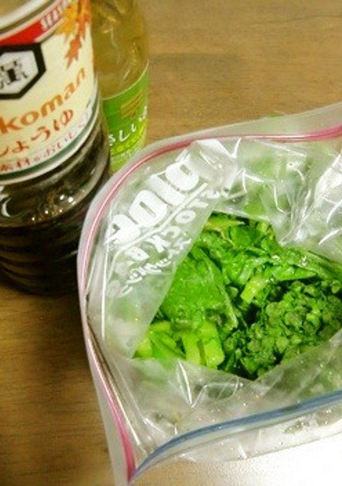 たくさんの青菜を保存用にやさしい酢で-レシピのメイン写真