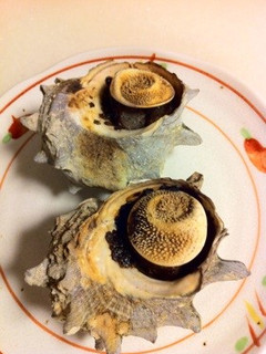 こんにゃくと青海苔で偽サザエ-レシピのメイン写真
