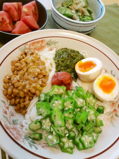 梅で元気!夏のスタミナ冷やしうどん♪-レシピのメイン写真