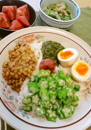 梅で元気！夏のスタミナ冷やしうどん♪-レシピのメイン写真