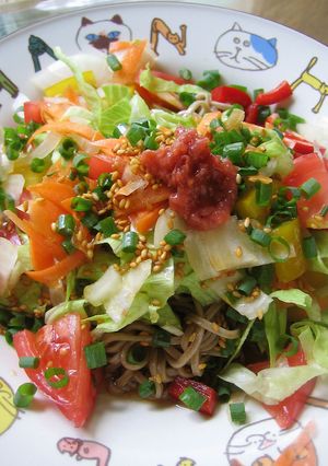 美と健康に♪野菜たっぷりサラダ蕎麦-レシピのメイン写真