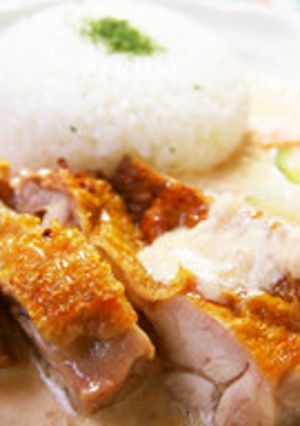 チキンのチャイナクリームソース-レシピのメイン写真