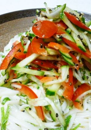 夏の冷やしうどん塩麹和え-レシピのメイン写真