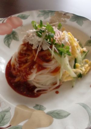ひやむぎのピビン麺-レシピのメイン写真
