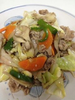 塩麹で野菜炒め-レシピのメイン写真