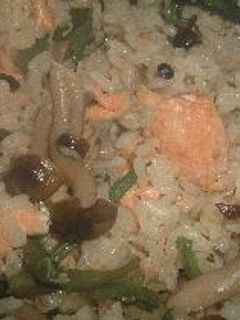 鮭の炊き込み御飯-レシピのメイン写真