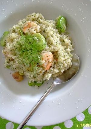 そら豆とエビのリゾット　青海苔風味-レシピのメイン写真
