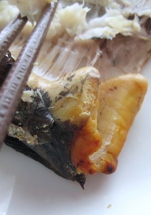 塩麹真カレイのこんがりグリル焼き-レシピのメイン写真