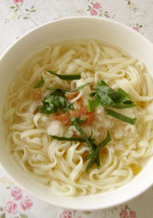 梅でさっぱり塩うどん-レシピのメイン写真