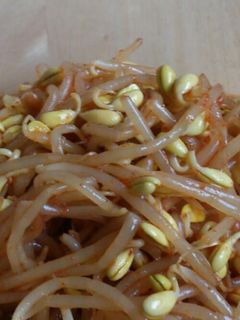 韓国風 豆モヤシのナムル?-レシピのメイン写真