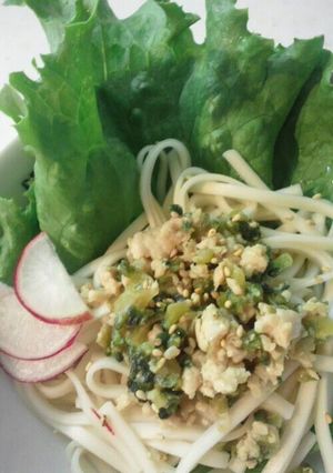 暑い夏には！ゴーヤそぼろうどん-レシピのメイン写真