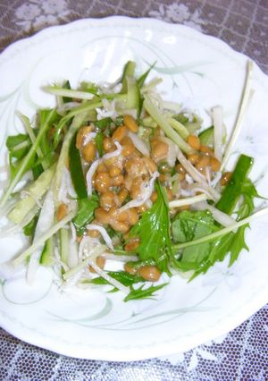 夏に✿納豆シラス✿青じそ風味サラダ-レシピのメイン写真