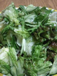 たっぷりグリーンサラダ(焼き肉屋さん風)-レシピのメイン写真