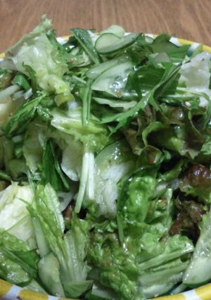 たっぷりグリーンサラダ（焼き肉屋さん風）-レシピのメイン写真